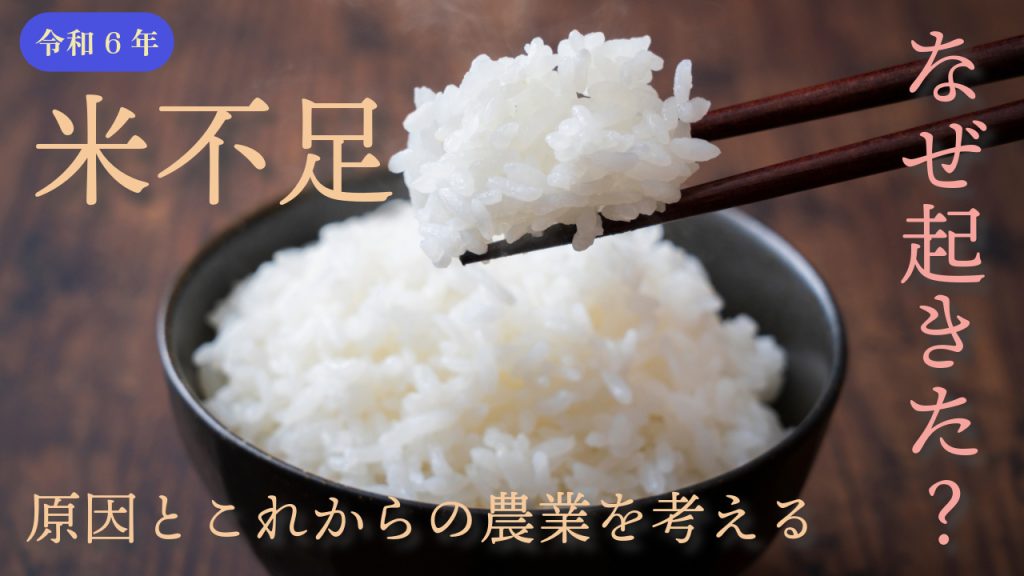 令和6年の米不足はなぜ起きた？その原因とこれからの日本の農業を考える